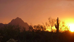 The sun sets in the Arizona desert wilderness.
