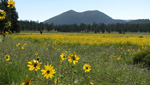 We learn about Arizona's ancient volcanos with Senior Geologist at the Arizona Geological Survey Jon Spencer, Ph.D.