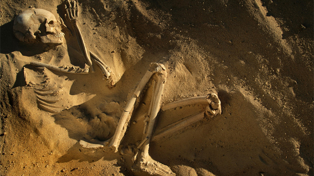 A Tenerian skeleton unearthed in the Sahara.