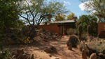 This is just one of the many diverse gardens owned by members of the Cactus Society is Tucson.
