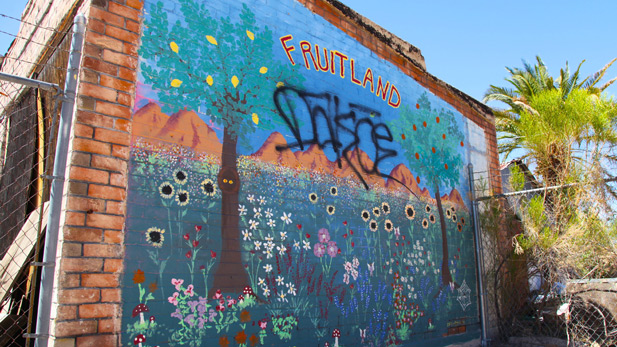 Fruitland Mural spotlight