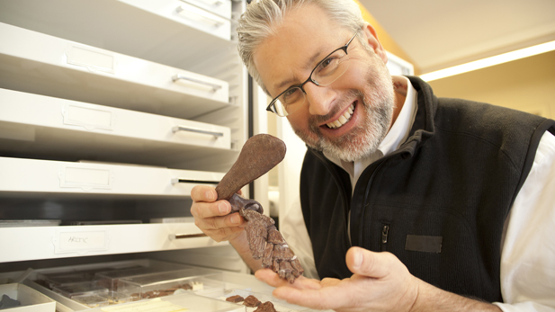 Neil Shubin holding fossilized bones from Tiktaalik roseae in his lab at the University of Chicago.