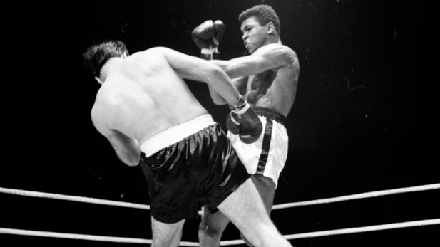 Cassius Clay stinging "like a bee!”