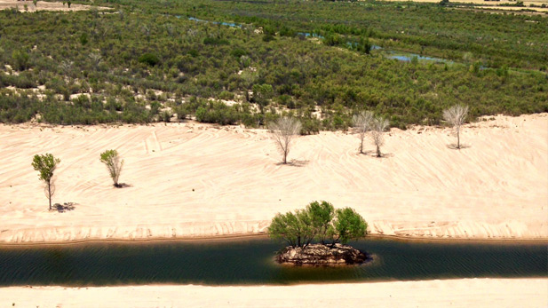 A "pulse flow," the first stage of a pilot project to bring life back to the Colorado River delta, flooded parts of the delta in Mexico’s Baja California state in 2014.