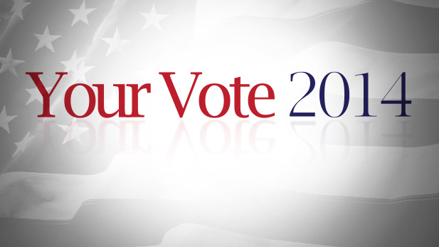 Your Vote 2014 generic spot