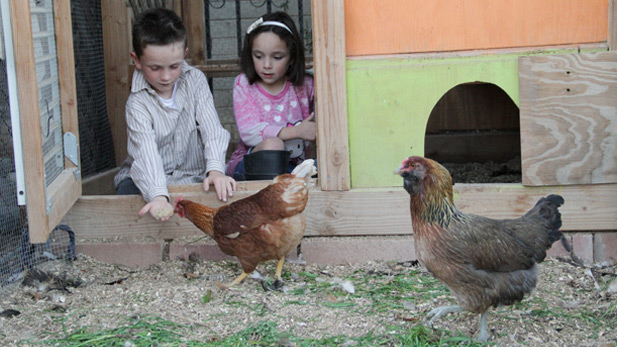 Culliney's children, Reece and Harper, enjoy helping out with the family flock.