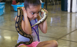 Summer Camp - Girl with Snake Fcs Lrg