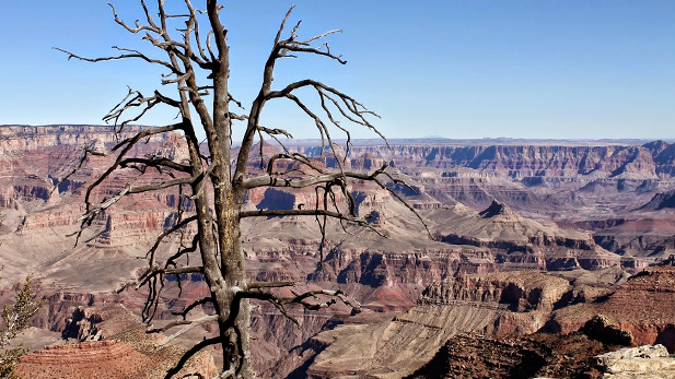 Grand Canyon 2 - Spotlight Stock