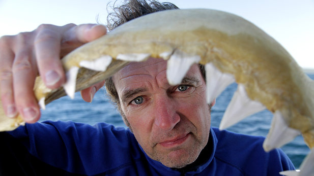 Mark Evans and the Great White Shark jaw