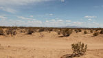 The Arizona desert in Border Patrol's Tucson sector