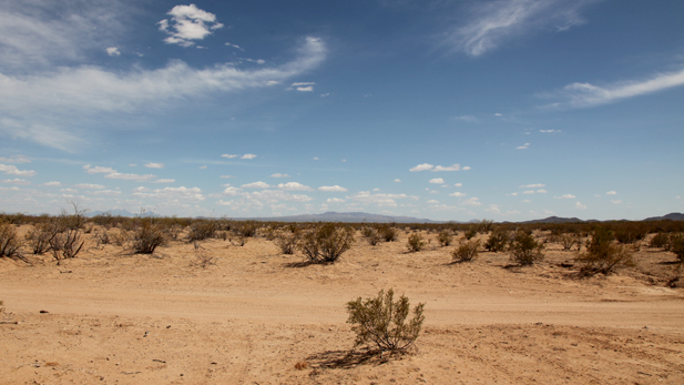 Arizona desert in Tucson's sector of the Border Patrol