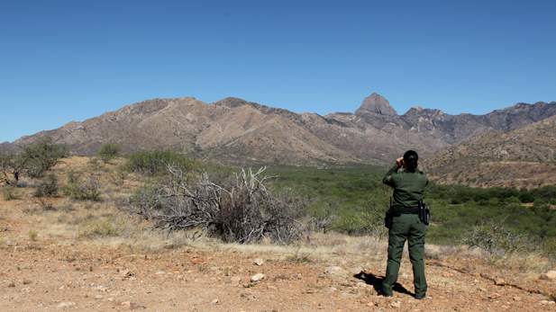 A Border Patrol agent in the Arizona desert looking through binoculars. 