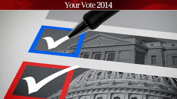 YV 2014 Voting ballot spot