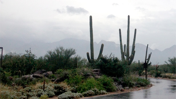 Rain at Stone Canyon, Northwest of Tucson