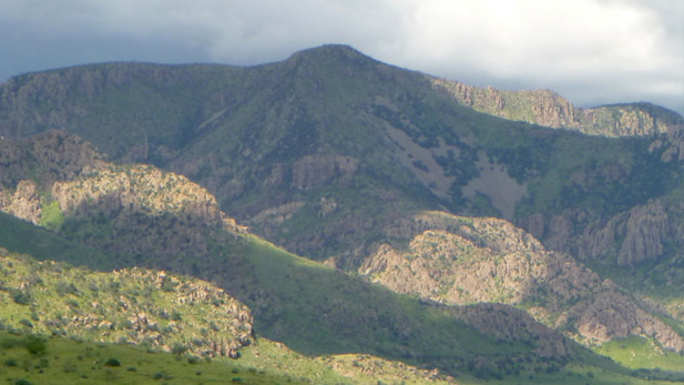 In the summer monsoon, grass carpets the Chiricahua foothills.