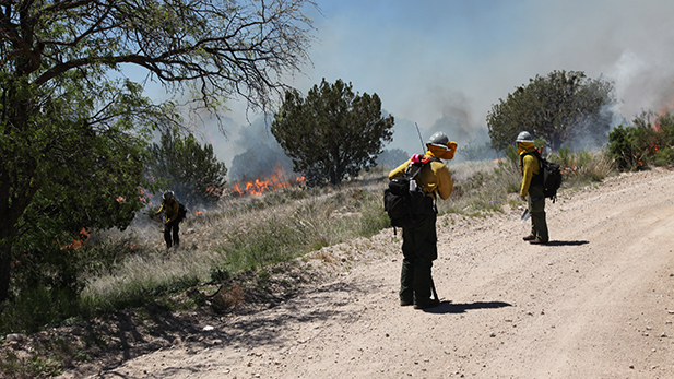 Members of the Globe Hotshots work a controlled burn near Reddington Pass in May of 2015. The Bureau of Land Management will form a similar crew and stationed it at Ft. Huachuca for the 2016 fire season.