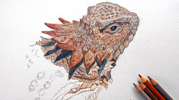 regal lizard in progress by beth surdut spotlight 2015