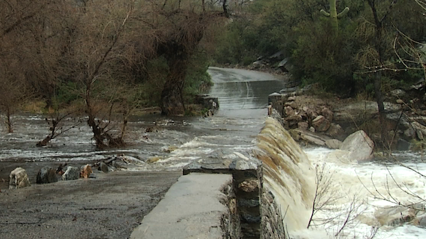 Sabino Canyon after Jan 31-Feb. 1 rains spotlight