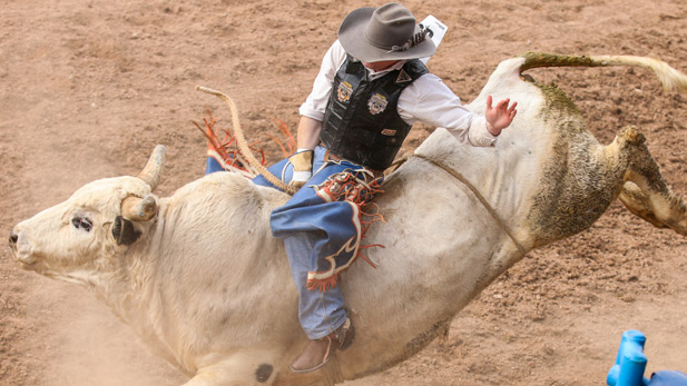 Tucson Rodeo, La Fiesta de los Vaqueros 2