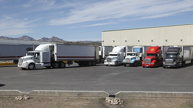 A busy day at produce importer SunFed's warehouse can mean 100 trucks unload fruits and vegetables during business hours.