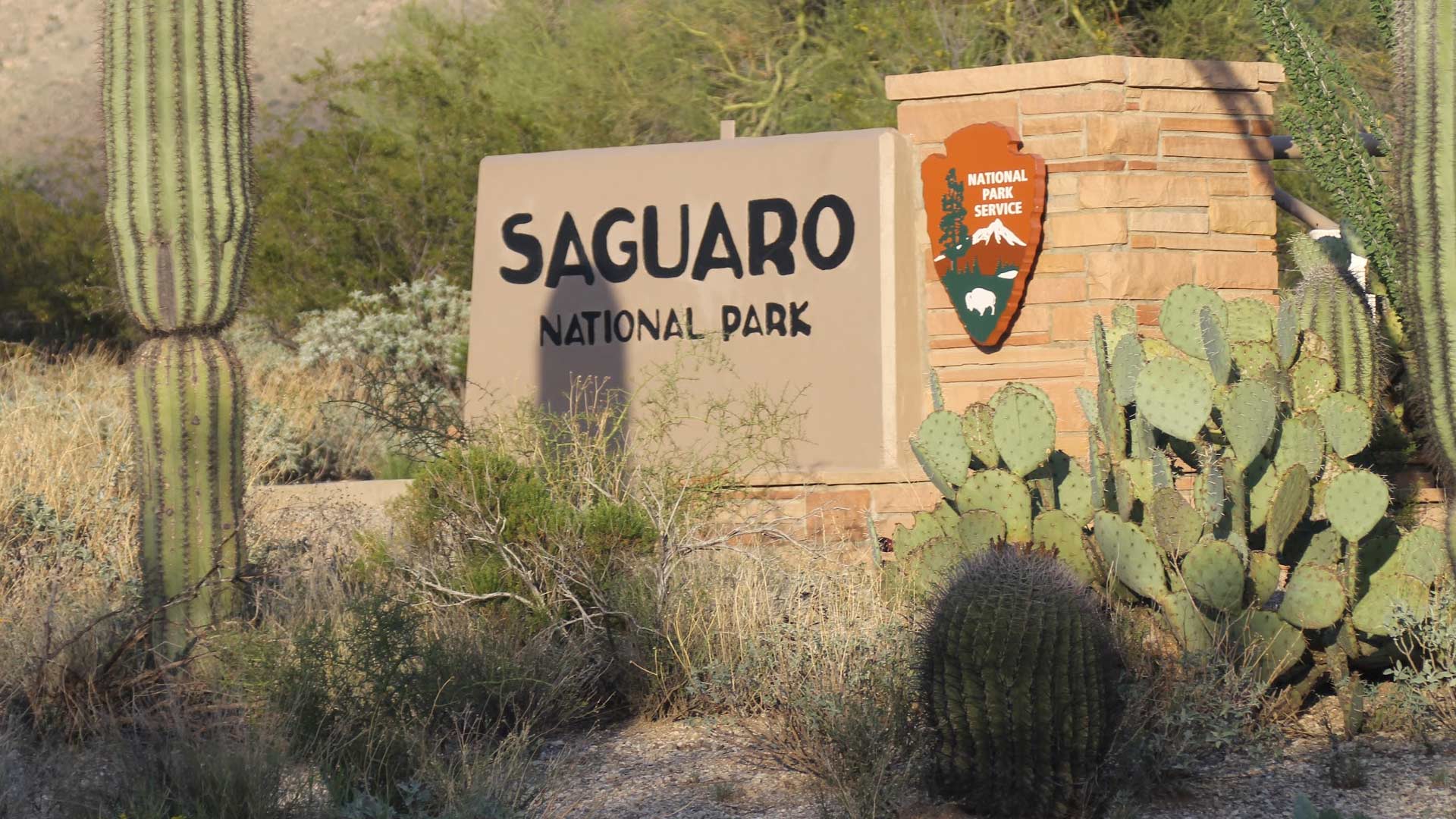 The entrance to Saguaro National Park east.