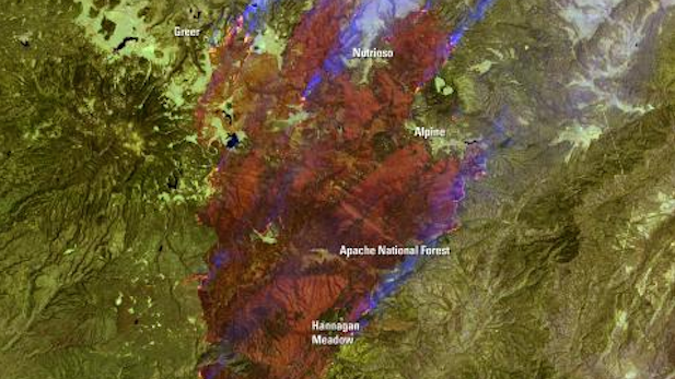 NASA satellite image of the Wallow Fire in Arizona's White Mountains in 2011.