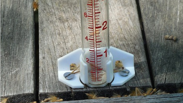 Rain gauge spotlight