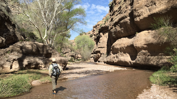 Aravaipa Canyon hiker spotlight