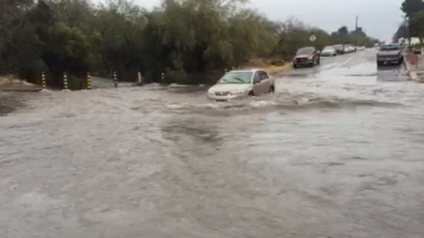 Tucson Firefighters rescued two people and a dog from this car in a wash on North Santa Rita Avenue in Tucson, Jan. 7, 2016.