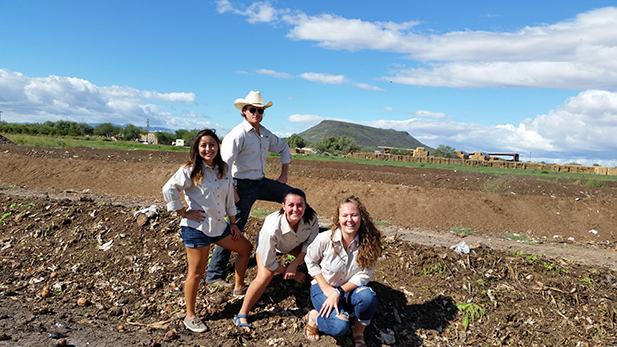 feeding our future spotlight compost cats