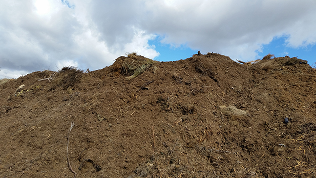 feeding our future 6 compost heap spotlight