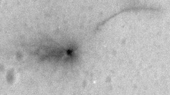 The UA's HiRISE camera's image of the European Space Agency's Schiaparelli Martian lander that crashed Oct. 19, 2016.