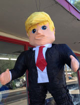 Trump Pinata Portrait