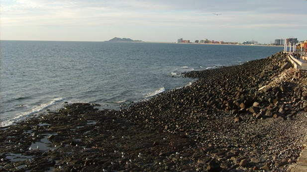 Rocky Point Beach