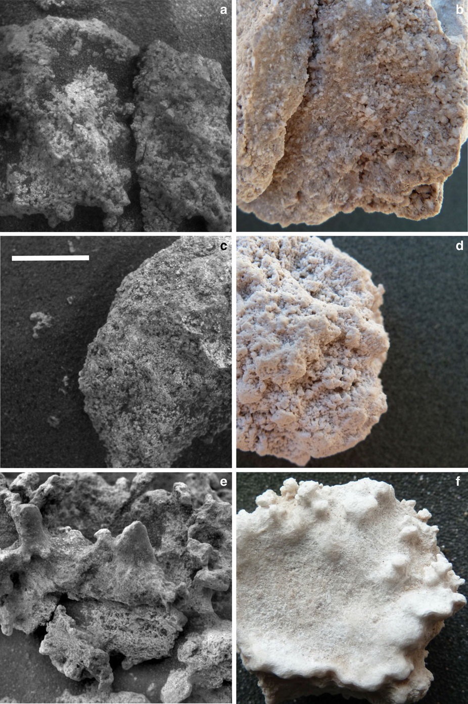 Silica life on Mars 3