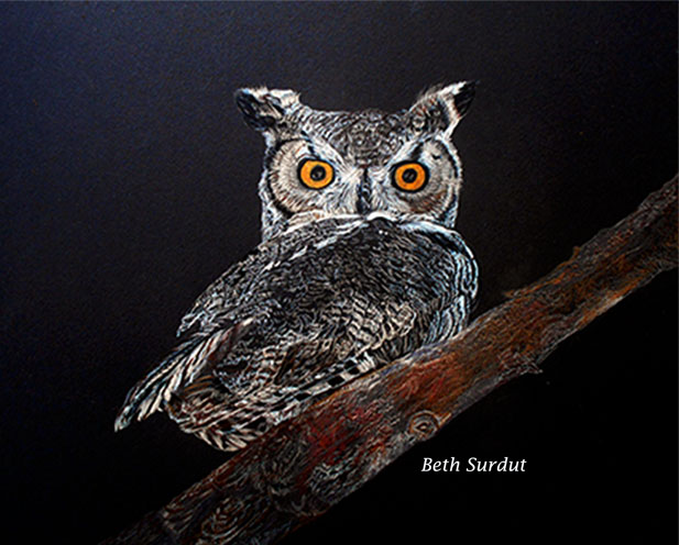 great horned owl beth surdut unsized image 