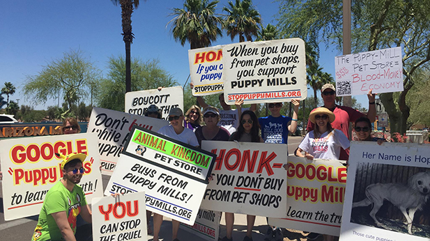 The Puppy Mill Free Arizona group, at the Arizona Mills shopping center in Tempe.