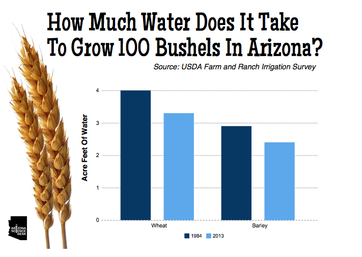 Wheat water use chart spotlight