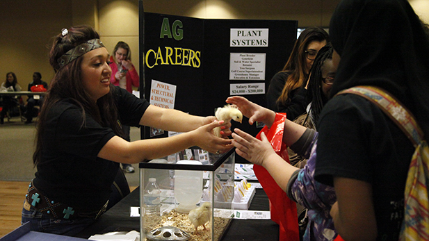  Cheyenne Flores, an intern with the Arizona Farm Bureau, told students about careers in agriculture. The rodeo queen studies equine business at Central Arizona College. 