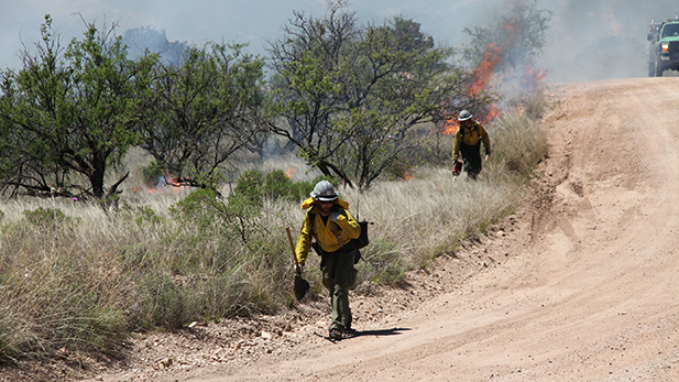 controlled burn generic