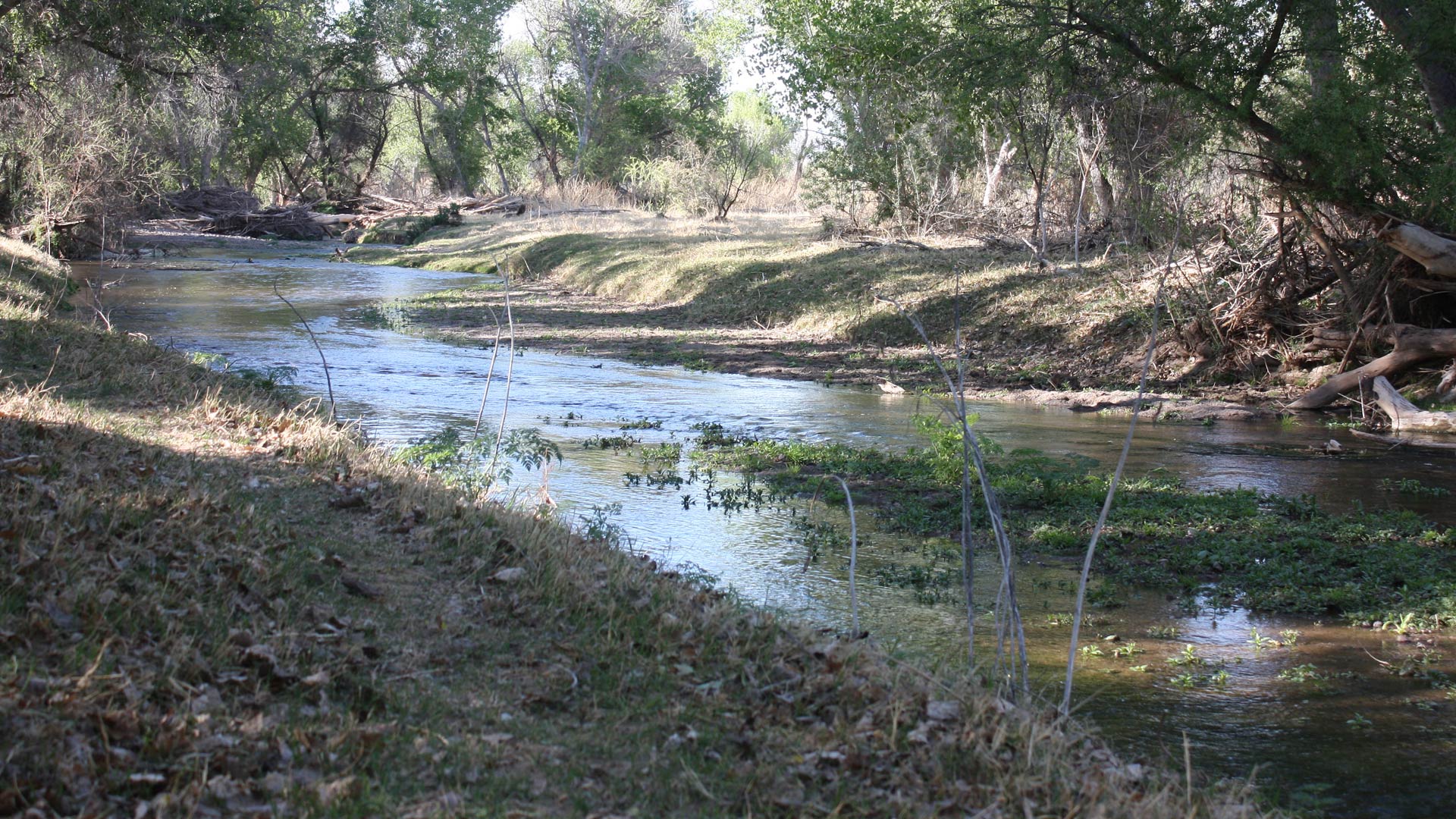 The Santa Cruz River.