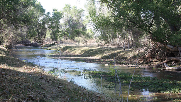 The Santa Cruz River.