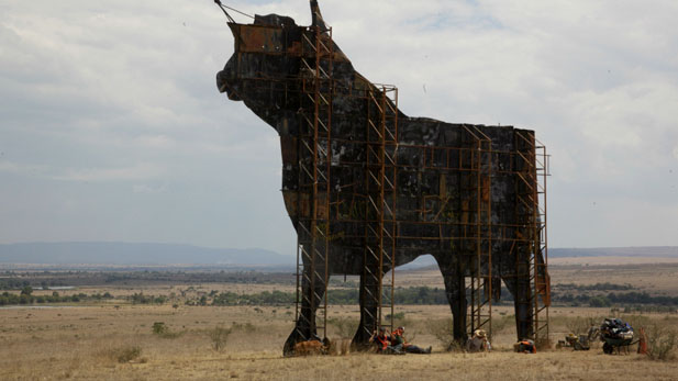 thin yellow line bull spotlight