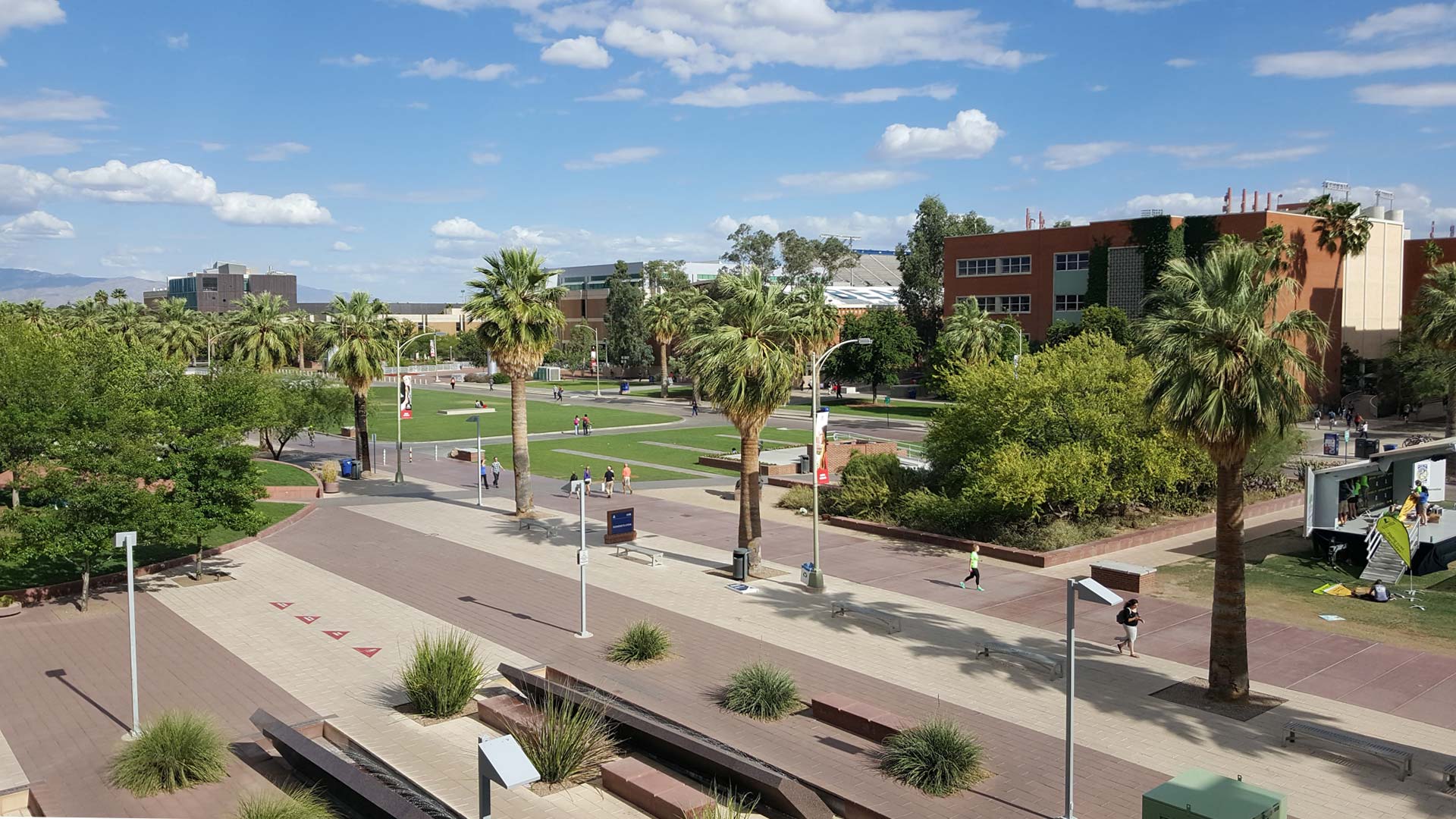 Looking across the mall from the Student Union on the campus of the University of Arizona.