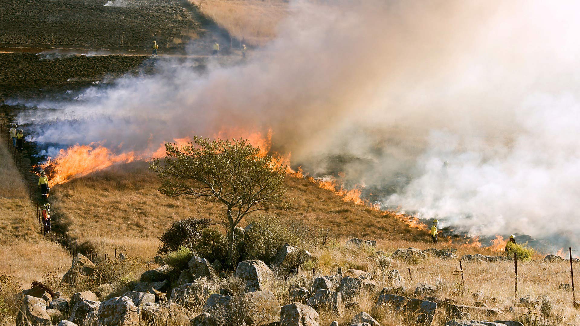 A controlled burn is monitored by firefighters.