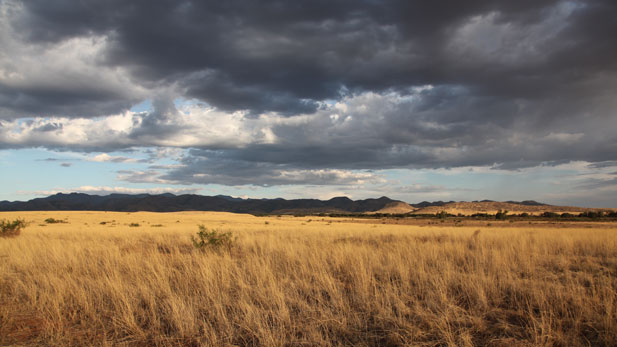 Chiricahua N M Valley