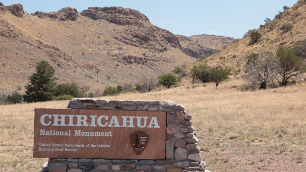 Chiricahua N M Sign