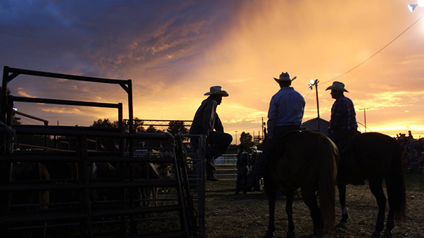 Cowboys at Sunset, Rodeo, Horse spot 