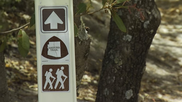 A signpost designating a segment of the Arizona Trail.