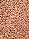 feeding our future beans portrait tiny